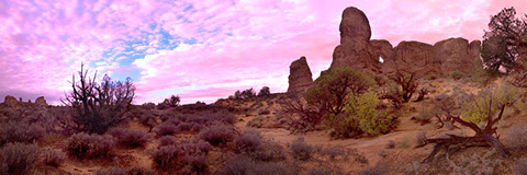 Morning Textures - Arches National Park - Mark Dodge