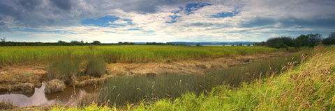 Big Ditch - Mark Dodge