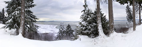 Arrowhead Point Whiteout 