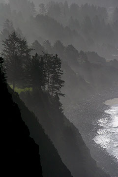 The Green (Oregon Coast) - Vicki Dodge